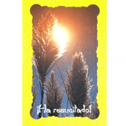 Tarjeta Resurreccion 3